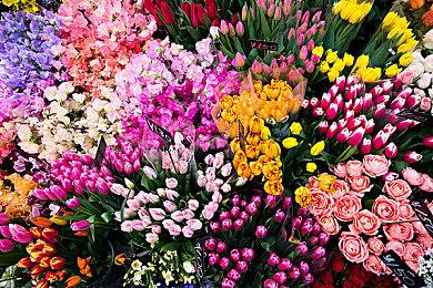 KK官方对战平台星际1重制版正式上线，多重优化提升玩家体验​